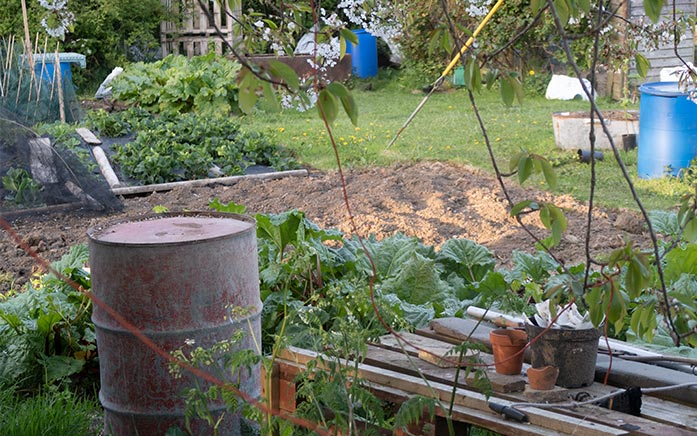 how to start an urban garden
