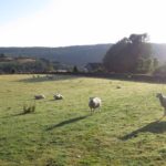 northern england countryside