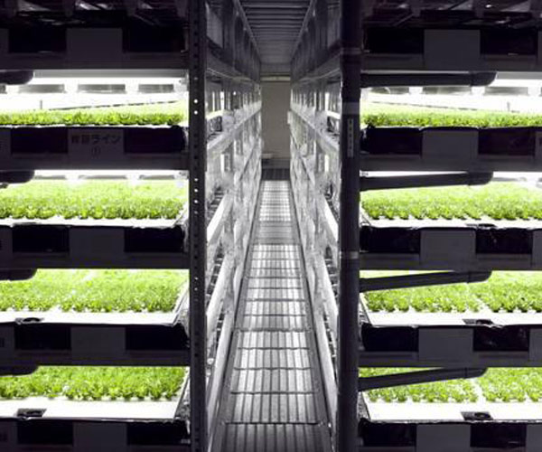 verticalfarming