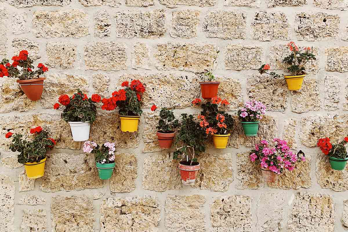 best wall planters