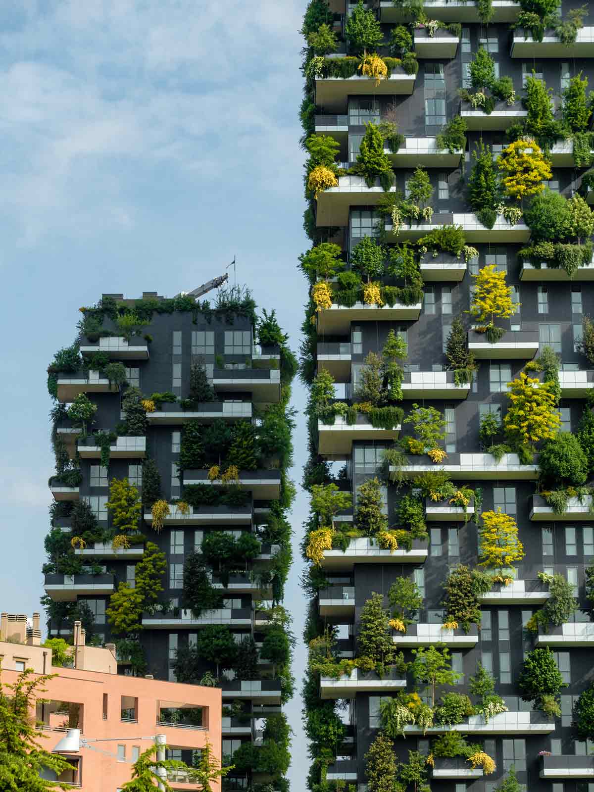 vertical apartment gardening tips