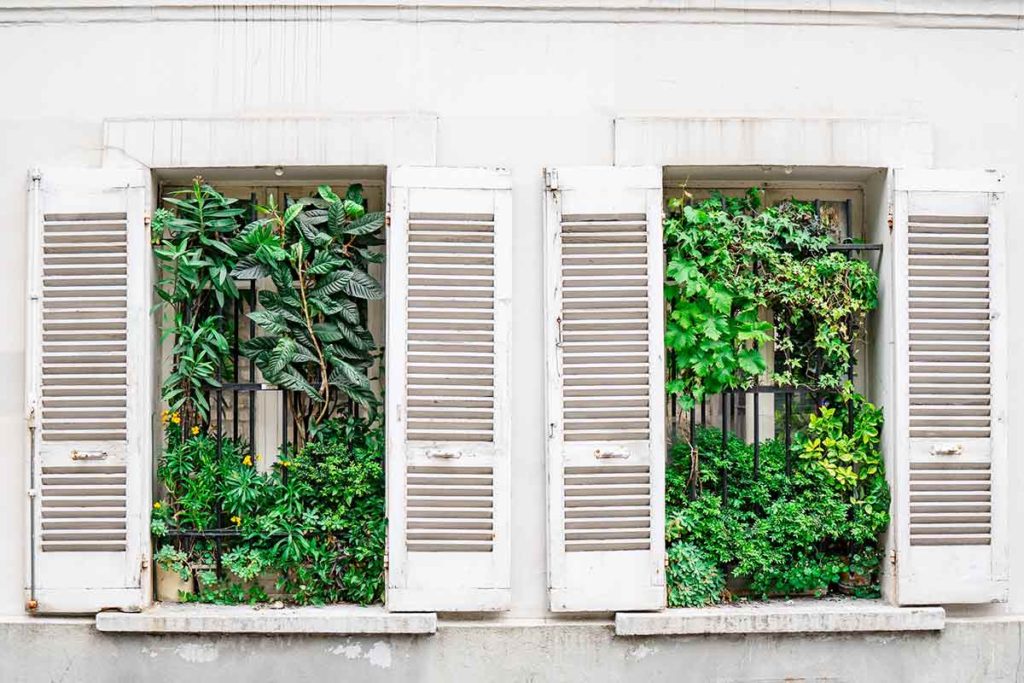 Best Window Sill Plant Shelves Home Buyers Guide