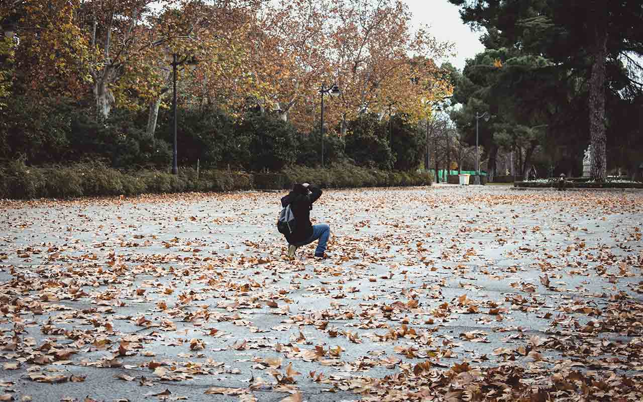 Leaves fill the ground of Retiro Park in Madrid during autumn