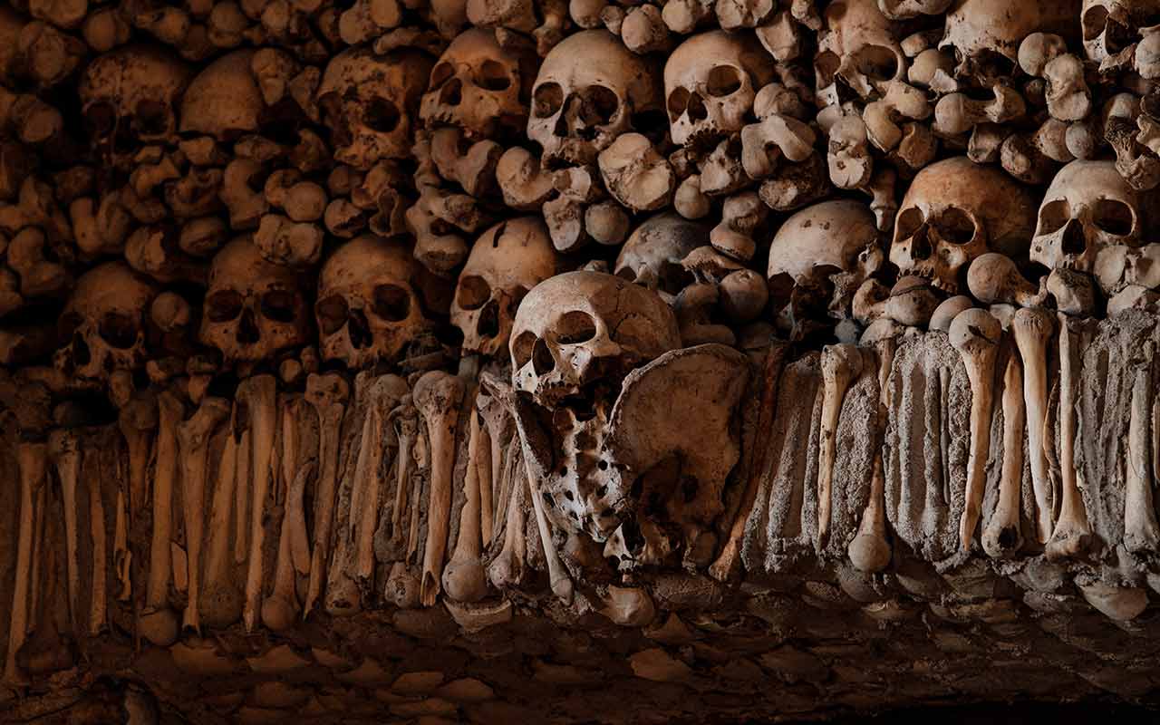 A close-up of the skulls used as infrastructure  in Capela Dos Ossos