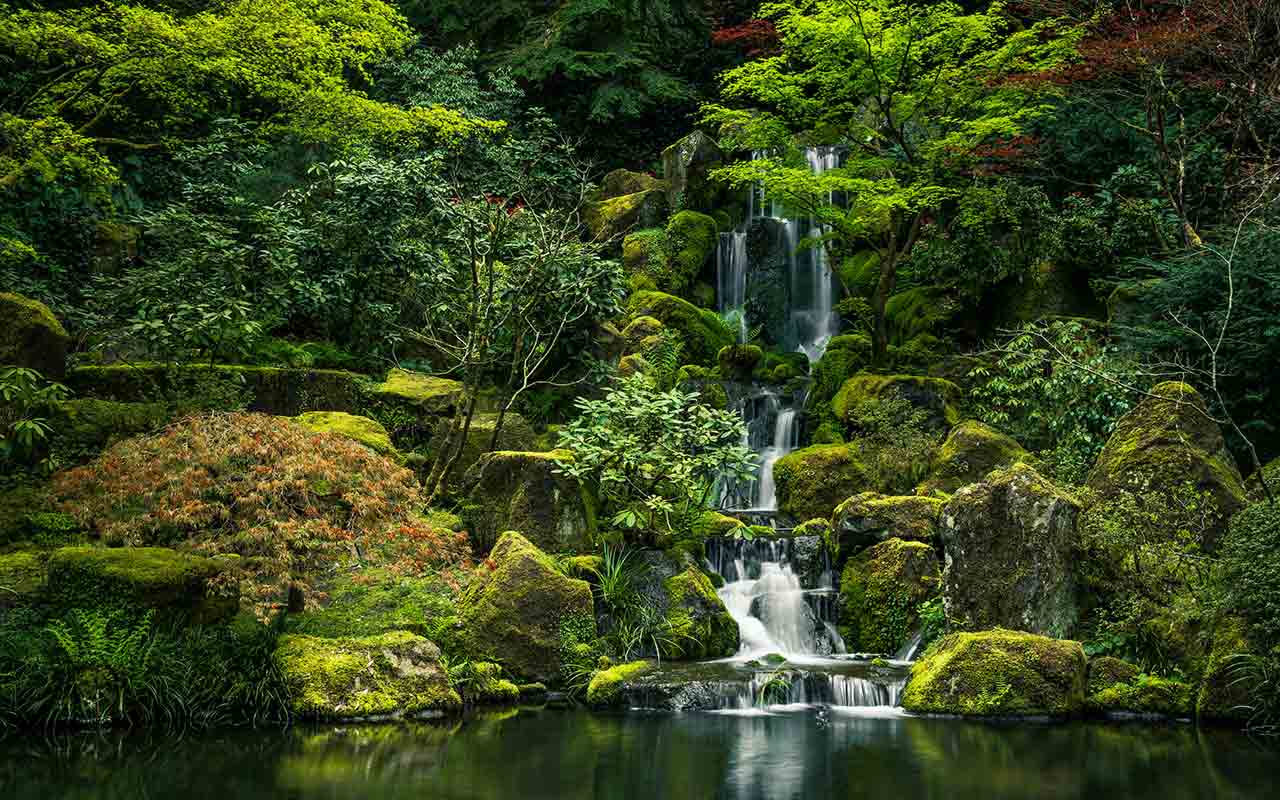 A waterfall surrounded with lush green in Portland Japanese Garden