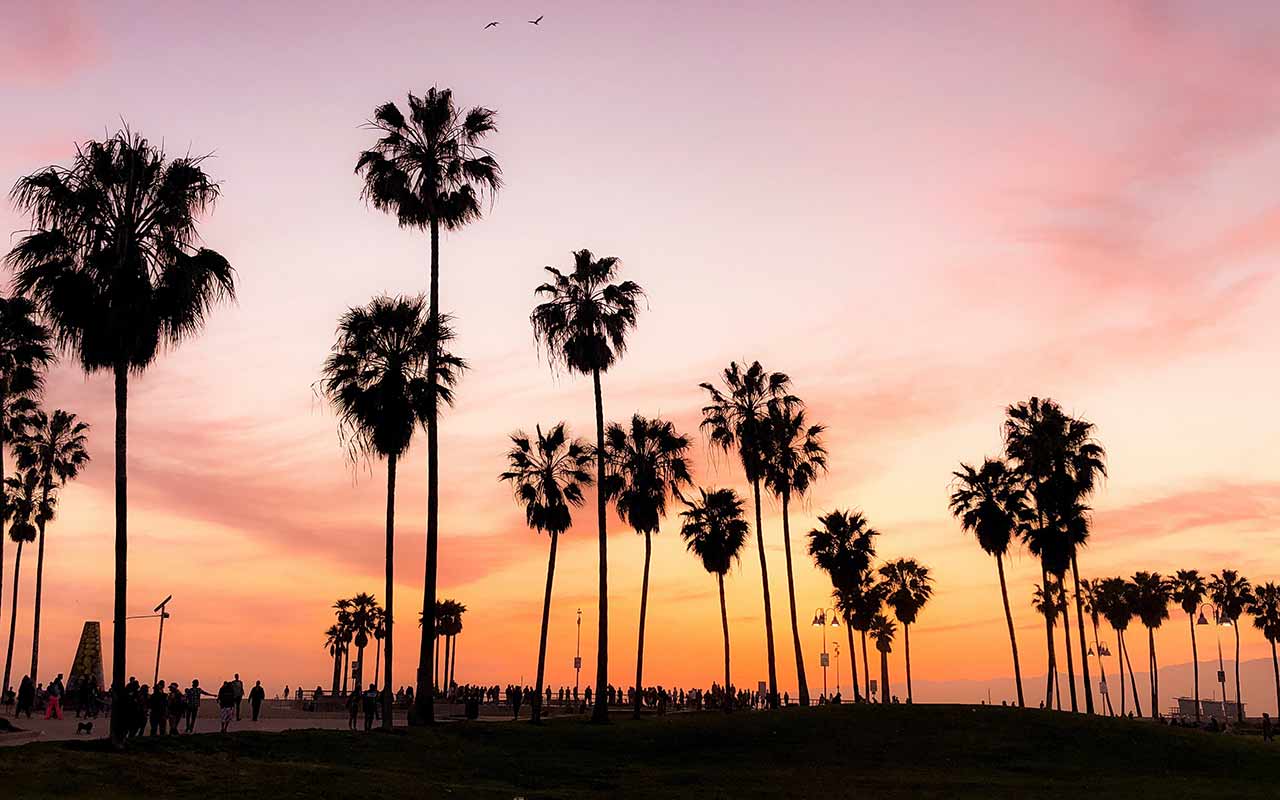 Palm trees against the colorful sky of California during sunset