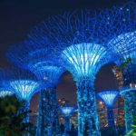 The ethereal view of the Gardens by the bay at night