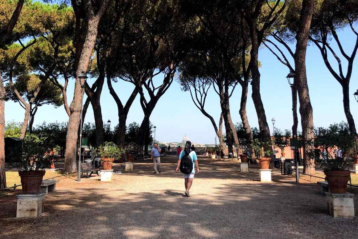 orange trees garden rome