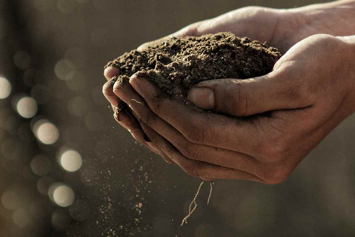 best potting soil for vegetables