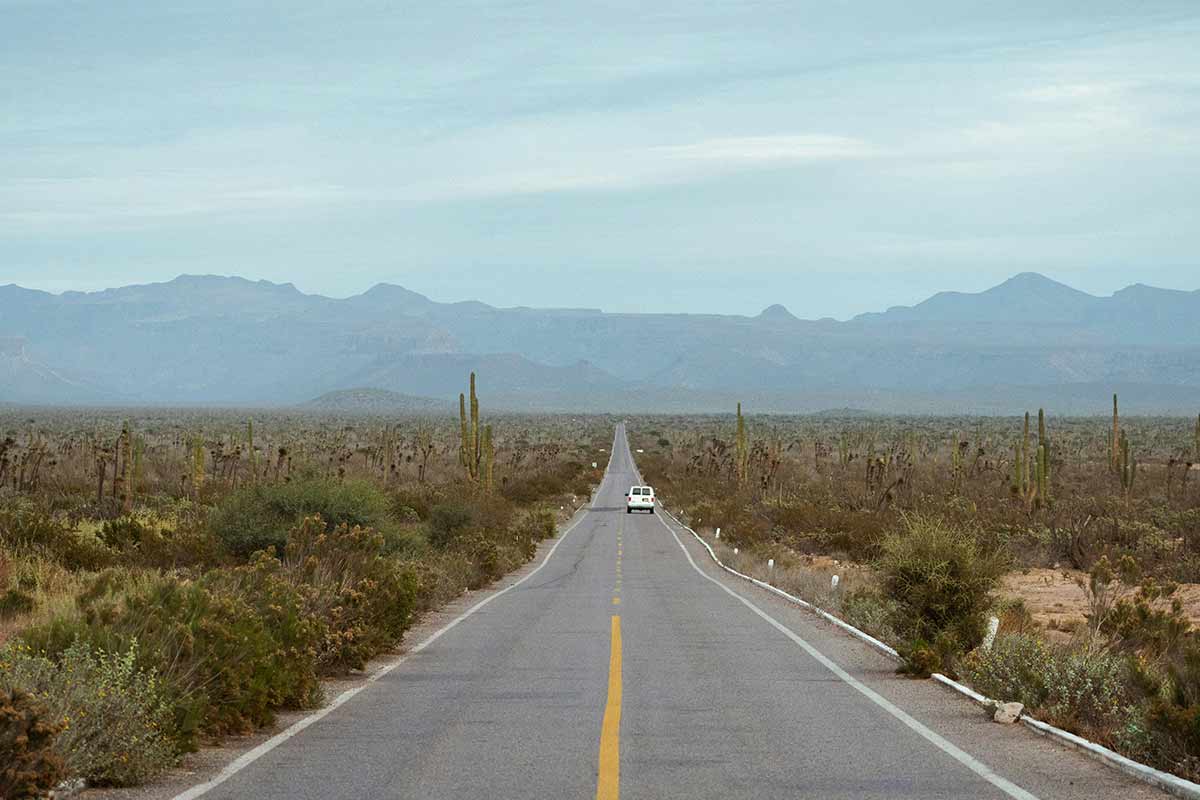 things to do in baja california
