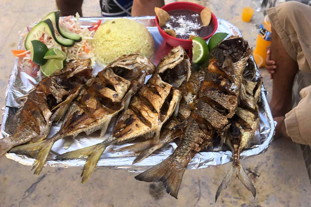 best seafood mahahual