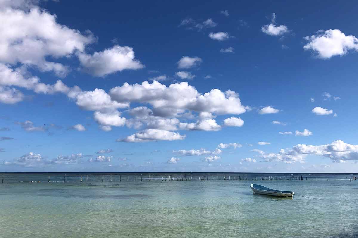 snorkeling costa maya